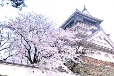 小倉祇園