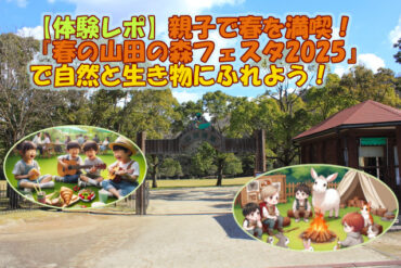 北九州ハイボールフェスタ