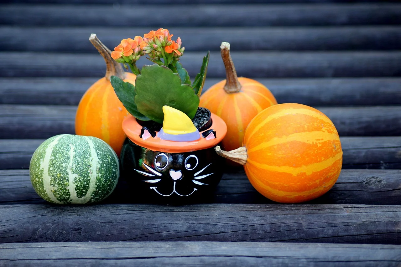 ハロウィン