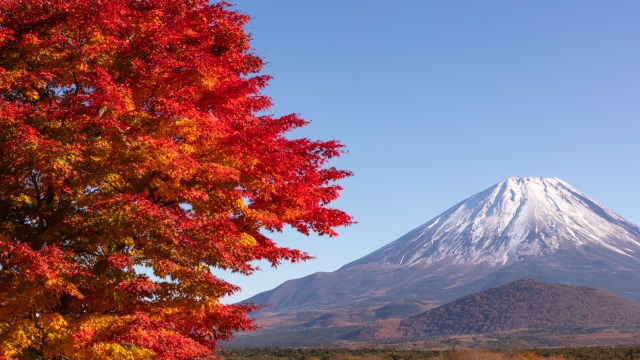 紅葉から見える富士
