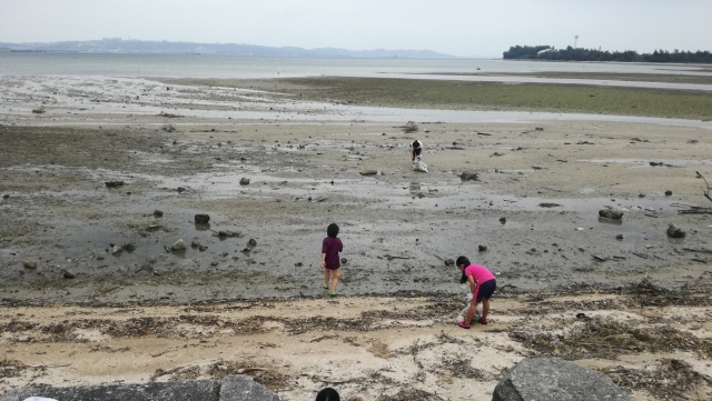 海のごみ拾い活動