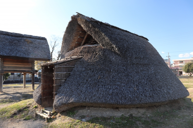 竪穴式住居跡にひじきが付着していた!?